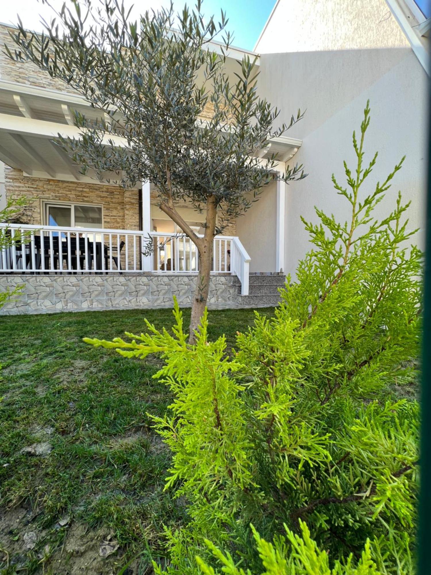 Casa Al Mare, Lura 3 Gjiri I Lalzit Feriehus